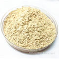 Roasted Garlic Powder High Quality Price